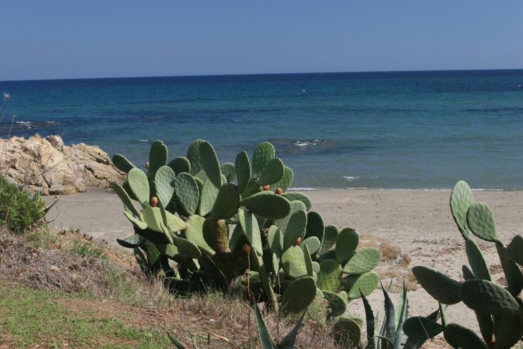 فيلابوتزو Residence Il Borgo Di Porto Corallo المظهر الخارجي الصورة